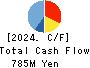SIG Group Co.,Ltd. Cash Flow Statement 2024年3月期