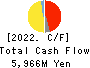 STELLA CHEMIFA CORPORATION Cash Flow Statement 2022年Mar期 STELLA CHEMIFA CORPORATION Cash Flow Statement 2022年3月期