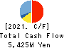 YAMATO CORPORATION Cash Flow Statement 2021年Mar期 YAMATO CORPORATION Cash Flow Statement 2021年3月期