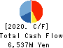 Ai Holdings Corporation Cash Flow Statement 2020年6月期