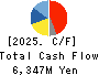 TOA CORPORATION Cash Flow Statement 2025年Mar期 TOA CORPORATION Cash Flow Statement 2025年3月期