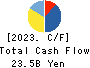 TOSEI CORPORATION Cash Flow Statement 2023年11月期