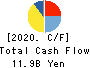 Shindengen Electric Manufacturing Co. Cash Flow Statement 2020年3月期