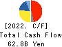 SYSMEX CORPORATION Cash Flow Statement 2022年Mar期 SYSMEX CORPORATION Cash Flow Statement 2022年3月期