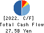 TOENEC CORPORATION Cash Flow Statement 2022年3月期