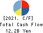 Chuetsu Pulp & Paper Co.,Ltd. Cash Flow Statement 2021年3月期