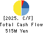 Nakanihon KOGYO CO.,Ltd. Cash Flow Statement 2025年Mar期 Nakanihon KOGYO CO.,Ltd. Cash Flow Statement 2025年3月期