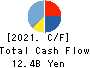 NISHIKAWA RUBBER CO.,LTD. Cash Flow Statement 2021年3月期