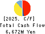 Anicom Holdings, Inc. Cash Flow Statement 2025年3月期