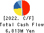 Nippon Piston Ring Co., Ltd. Cash Flow Statement 2022年3月期