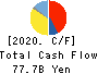 TOYODA GOSEI CO.,LTD. Cash Flow Statement 2020年Mar期 TOYODA GOSEI CO.,LTD. Cash Flow Statement 2020年3月期