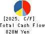 TEIN, INC. Cash Flow Statement 2025年Mar期 TEIN, INC. Cash Flow Statement 2025年3月期