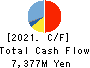 The Furukawa Battery Co.,Ltd. Cash Flow Statement 2021年3月期