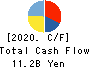 SHIKOKU KASEI HOLDINGS CORPORATION Cash Flow Statement 2020年3月期