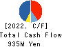 ICHIKEN Co.,Ltd. Cash Flow Statement 2022年3月期