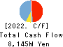 DAIHATSU DIESEL MFG.CO.,LTD. Cash Flow Statement 2022年3月期