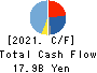 KOMORI CORPORATION Cash Flow Statement 2021年3月期