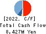 SHIBAURA MECHATRONICS CORPORATION Cash Flow Statement 2022年3月期