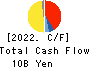 KAMEDA SEIKA CO.,LTD. Cash Flow Statement 2022年3月期