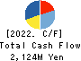 Shinwa Co.,Ltd. Cash Flow Statement 2022年3月期