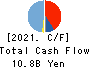 DOSHISHA CO.,LTD. Cash Flow Statement 2021年3月期