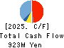 EIDAI KAKO CO.,LTD. Cash Flow Statement 2025年Mar期 EIDAI KAKO CO.,LTD. Cash Flow Statement 2025年3月期