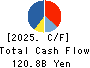 Isetan Mitsukoshi Holdings Ltd. Cash Flow Statement 2025年3月期