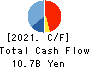 Daiseki Co., Ltd. Cash Flow Statement 2021年2月期