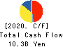 TAIHO KOGYO CO.,LTD. Cash Flow Statement 2020年3月期