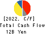 Shin-Etsu Polymer Co.,Ltd. Cash Flow Statement 2022年3月期