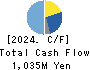 ReproCELL Incorporated Cash Flow Statement 2024年Mar期 ReproCELL Incorporated Cash Flow Statement 2024年3月期