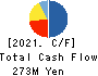 VLC HOLDINGS CO.,LTD. Cash Flow Statement 2021年3月期