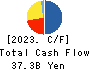 Sumitomo Osaka Cement Co.,Ltd. Cash Flow Statement 2023年3月期