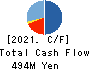 Caster Co.Ltd. Cash Flow Statement 2021年8月期