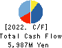DD GROUP Co., Ltd. Cash Flow Statement 2022年2月期