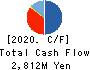 SHIN-NIHON TATEMONO CO.,LTD. Cash Flow Statement 2020年3月期