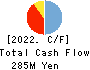 Techno Mathematical Co.,Ltd. Cash Flow Statement 2022年3月期