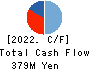 IPS HOLDINGS CO.,LTD. Cash Flow Statement 2022年Jun期 IPS HOLDINGS CO.,LTD. Cash Flow Statement 2022年6月期