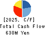 INTRANCE CO.,LTD. Cash Flow Statement 2025年Mar期 INTRANCE CO.,LTD. Cash Flow Statement 2025年3月期