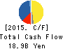 DAIICHI CHUO KISEN KAISHA Cash Flow Statement 2015年3月期