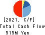 SDS HOLDINGS Co.,Ltd. Cash Flow Statement 2021年Mar期 SDS HOLDINGS Co.,Ltd. Cash Flow Statement 2021年3月期