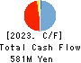 Cyfuse Biomedical K.K. Cash Flow Statement 2023年12月期