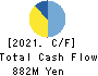 SIG Group Co.,Ltd. Cash Flow Statement 2021年3月期