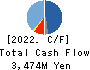 AnyMind Group Inc. Cash Flow Statement 2022年12月期