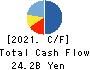 ROUND ONE Corporation Cash Flow Statement 2021年3月期