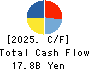 TONAMI HOLDINGS CO.,LTD. Cash Flow Statement 2025年Mar期 TONAMI HOLDINGS CO.,LTD. Cash Flow Statement 2025年3月期