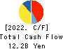 FUSO CHEMICAL CO.,LTD. Cash Flow Statement 2022年3月期