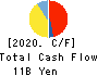 Nippon Denko Co.,Ltd. Cash Flow Statement 2020年12月期
