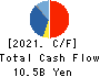 Osaki Electric Co.,Ltd. Cash Flow Statement 2021年3月期