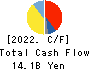 KANTO DENKA KOGYO CO.,LTD. Cash Flow Statement 2022年3月期